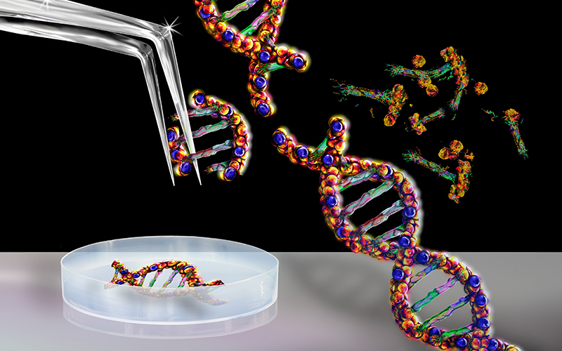 Neuropriming-crispr